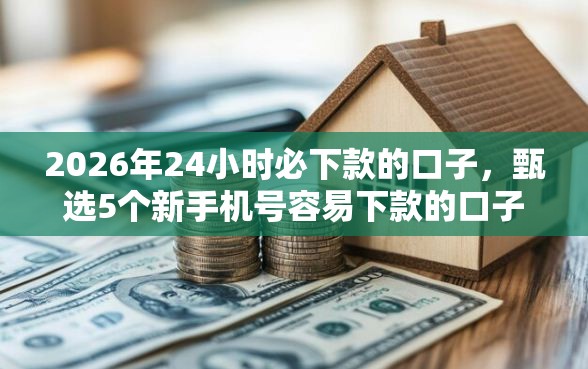 2026年24小时必下款的口子，甄选5个新手机号容易下款的口子