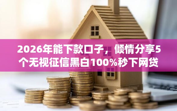 2026年能下款口子，倾情分享5个无视征信黑白100%秒下网贷app