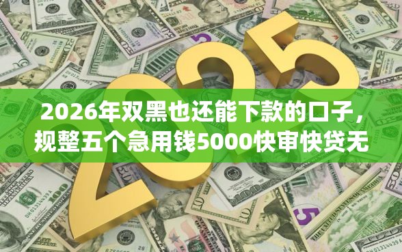 2026年双黑也还能下款的口子，规整五个急用钱5000快审快贷无需征信app