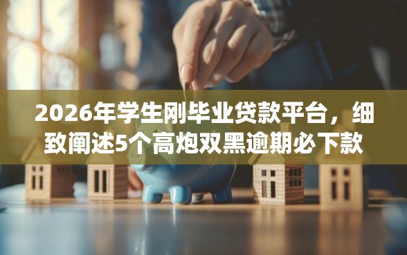 2026年学生刚毕业贷款平台，细致阐述5个高炮双黑逾期必下款app