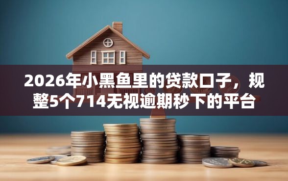 2026年小黑鱼里的贷款口子，规整5个714无视逾期秒下的平台