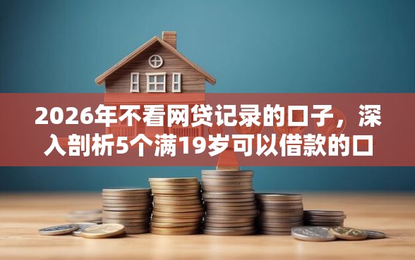 2026年不看网贷记录的口子，深入剖析5个满19岁可以借款的口子