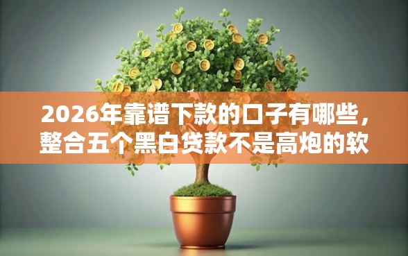 2026年靠谱下款的口子有哪些，整合五个黑白贷款不是高炮的软件