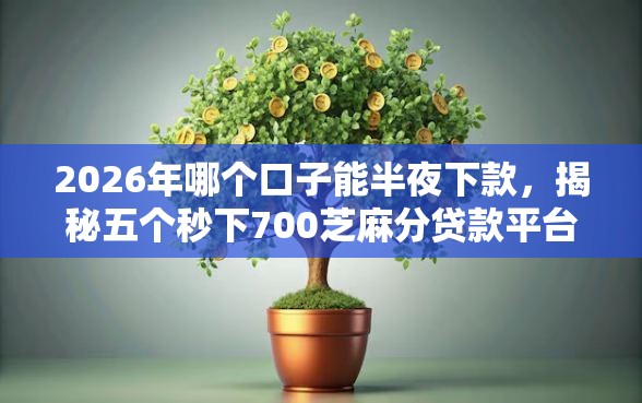 2026年哪个口子能半夜下款，揭秘五个秒下700芝麻分贷款平台