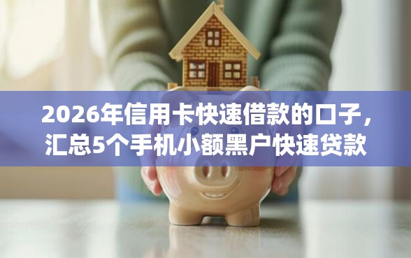 2026年信用卡快速借款的口子，汇总5个手机小额黑户快速贷款app