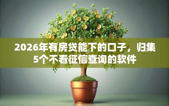 2026年有房贷能下的口子，归集5个不看征信查询的软件