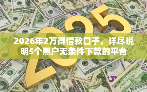 2026年2万得借款口子，详尽说明5个黑户无条件下款的平台