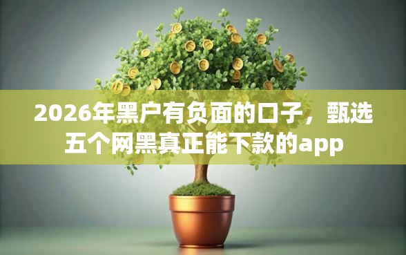 2026年黑户有负面的口子，甄选五个网黑真正能下款的app