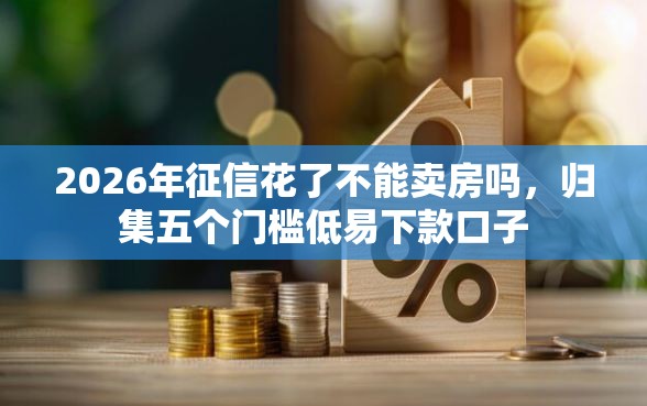 2026年征信花了不能卖房吗，归集五个门槛低易下款口子