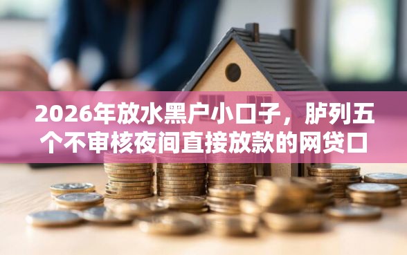2026年放水黑户小口子，胪列五个不审核夜间直接放款的网贷口子