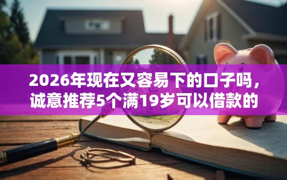 2026年现在又容易下的口子吗，诚意推荐5个满19岁可以借款的平台