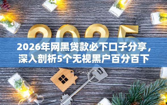 2026年网黑贷款必下口子分享，深入剖析5个无视黑户百分百下款平台