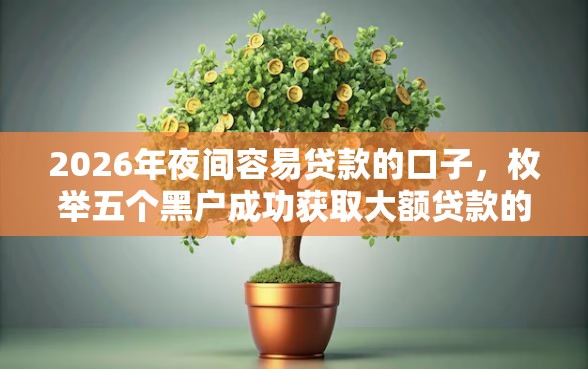 2026年夜间容易贷款的口子，枚举五个黑户成功获取大额贷款的软件