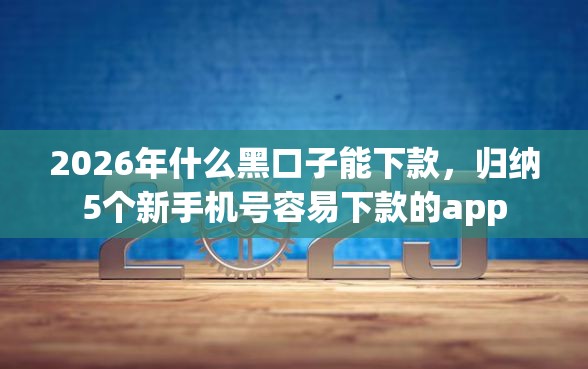 2026年什么黑口子能下款，归纳5个新手机号容易下款的app