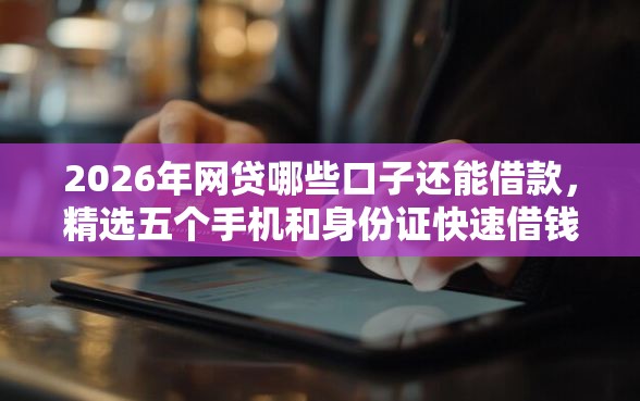 2026年网贷哪些口子还能借款，精选五个手机和身份证快速借钱软件