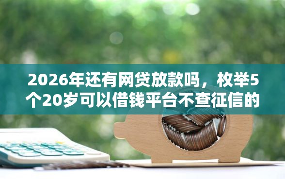 2026年还有网贷放款吗，枚举5个20岁可以借钱平台不查征信的平台