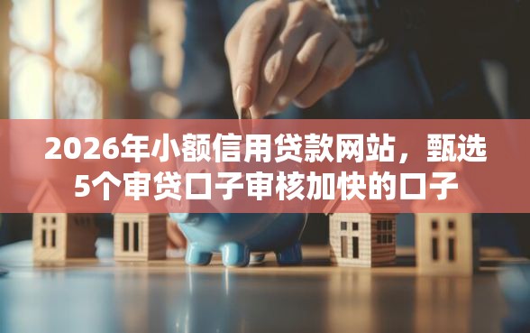 2026年小额信用贷款网站，甄选5个审贷口子审核加快的口子