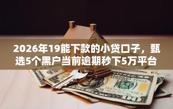 2026年19能下款的小贷口子，甄选5个黑户当前逾期秒下5万平台