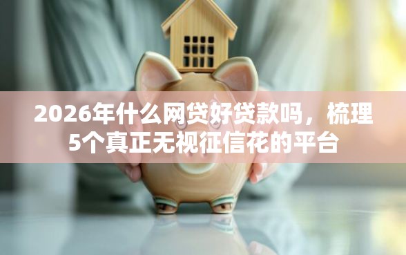 2026年什么网贷好贷款吗，梳理5个真正无视征信花的平台