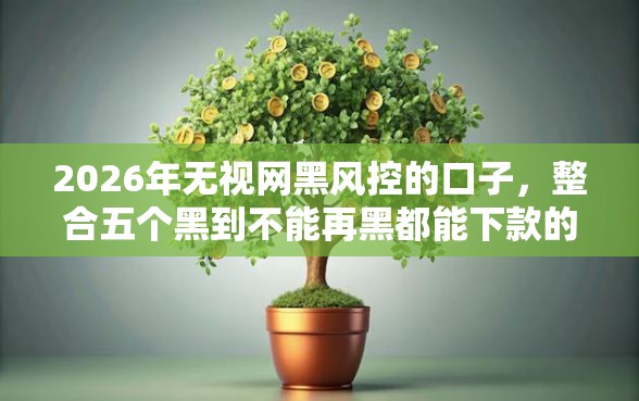 2026年无视网黑风控的口子，整合五个黑到不能再黑都能下款的口子