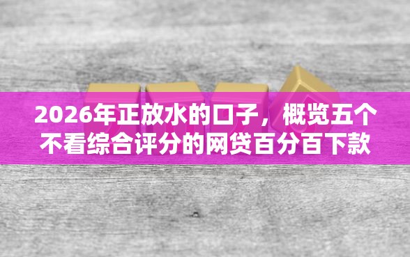 2026年正放水的口子，概览五个不看综合评分的网贷百分百下款口子