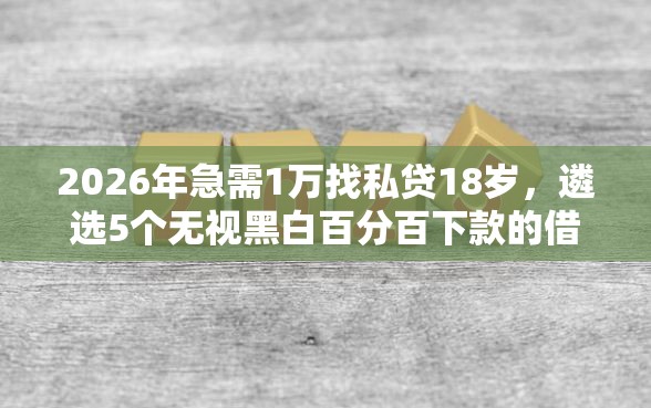2026年急需1万找私贷18岁，遴选5个无视黑白百分百下款的借款口子
