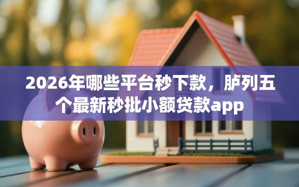 2026年哪些平台秒下款，胪列五个最新秒批小额贷款app