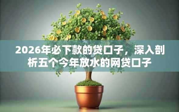 2026年必下款的贷口子，深入剖析五个今年放水的网贷口子