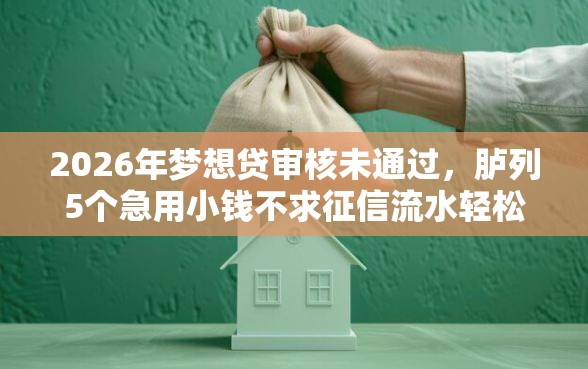 2026年梦想贷审核未通过，胪列5个急用小钱不求征信流水轻松贷的软件