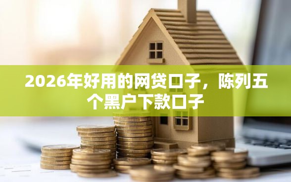 2026年好用的网贷口子，陈列五个黑户下款口子