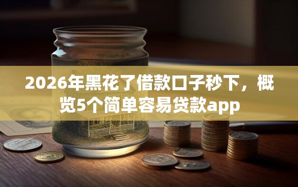 2026年黑花了借款口子秒下，概览5个简单容易贷款app