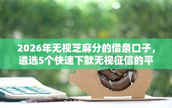 2026年无视芝麻分的借条口子，遴选5个快速下款无视征信的平台