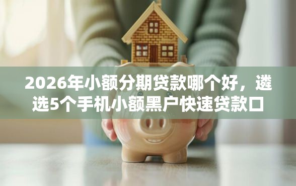 2026年小额分期贷款哪个好，遴选5个手机小额黑户快速贷款口子