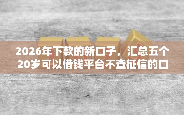2026年下款的新口子，汇总五个20岁可以借钱平台不查征信的口子
