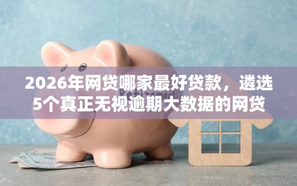 2026年网贷哪家最好贷款，遴选5个真正无视逾期大数据的网贷口子