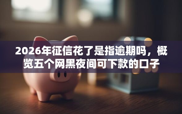 2026年征信花了是指逾期吗，概览五个网黑夜间可下款的口子