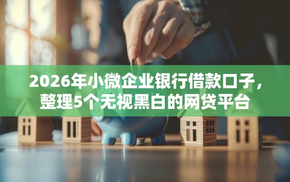 2026年小微企业银行借款口子，整理5个无视黑白的网贷平台