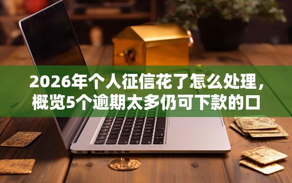 2026年个人征信花了怎么处理，概览5个逾期太多仍可下款的口子