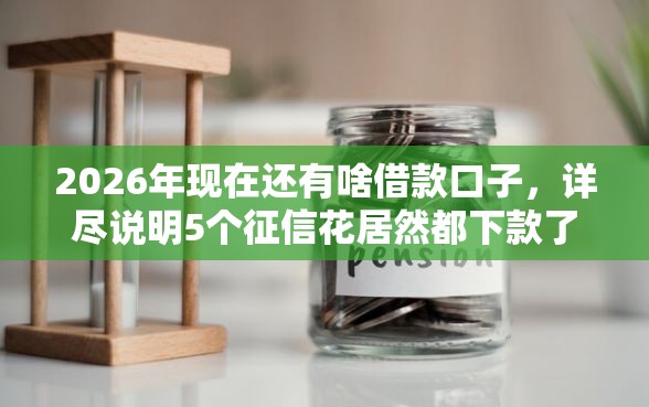 2026年现在还有啥借款口子，详尽说明5个征信花居然都下款了的平台