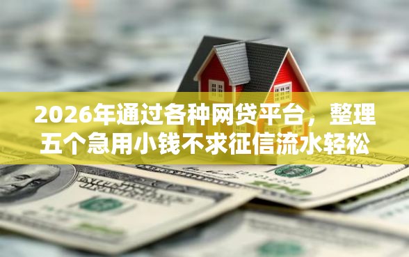 2026年通过各种网贷平台，整理五个急用小钱不求征信流水轻松贷的平台