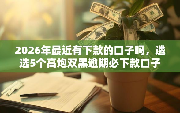 2026年最近有下款的口子吗，遴选5个高炮双黑逾期必下款口子