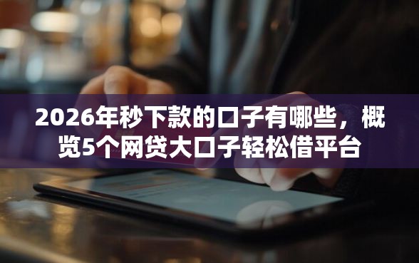 2026年秒下款的口子有哪些，概览5个网贷大口子轻松借平台