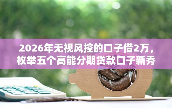 2026年无视风控的口子借2万，枚举五个高能分期贷款口子新秀
