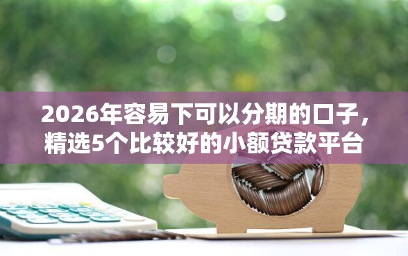 2026年容易下可以分期的口子，精选5个比较好的小额贷款平台