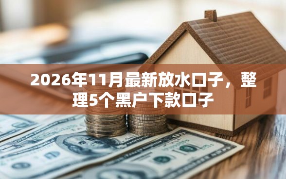 2026年11月最新放水口子，整理5个黑户下款口子