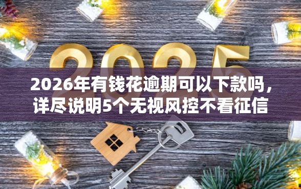 2026年有钱花逾期可以下款吗，详尽说明5个无视风控不看征信的网贷