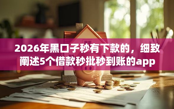 2026年黑口子秒有下款的，细致阐述5个借款秒批秒到账的app