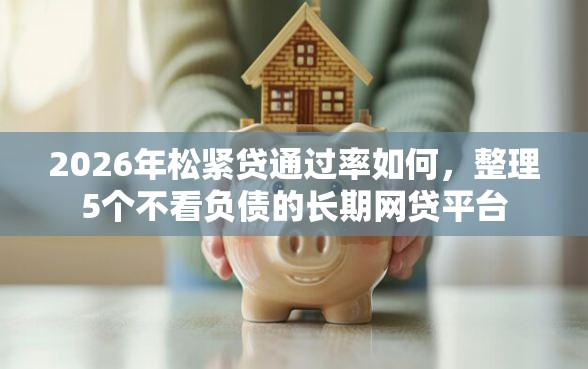 2026年松紧贷通过率如何，整理5个不看负债的长期网贷平台