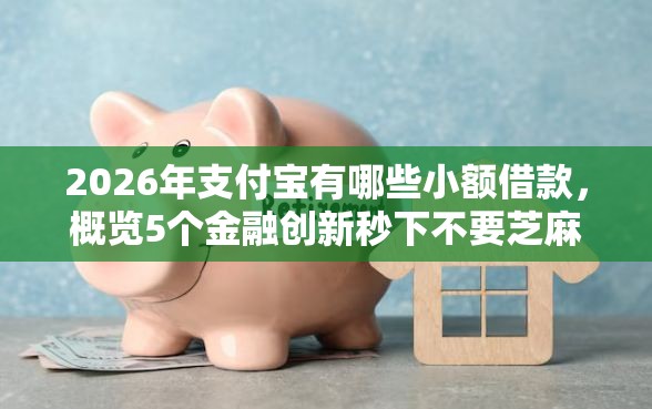 2026年支付宝有哪些小额借款，概览5个金融创新秒下不要芝麻分的口子