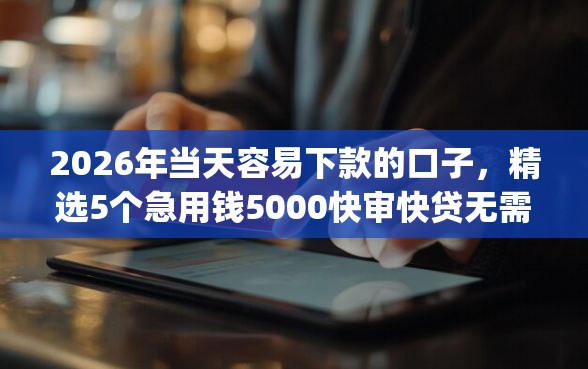 2026年当天容易下款的口子，精选5个急用钱5000快审快贷无需征信app
